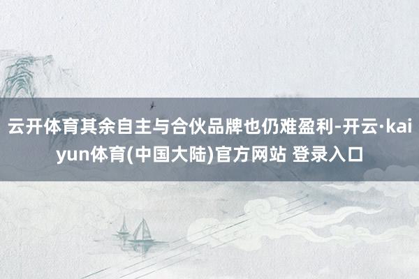 云开体育其余自主与合伙品牌也仍难盈利-开云·kaiyun体育(中国大陆)官方网站 登录入口